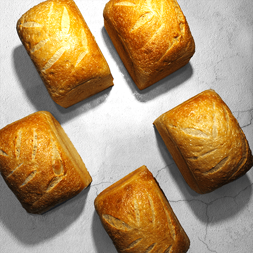 Gokin no Pan Sourdough Pack